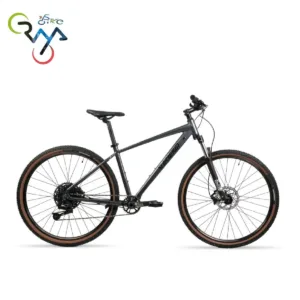 دوچرخه انرژی مدل EXP 0 سایز   29