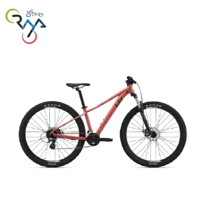 دوچرخه لیو مدل  LIV Tempt 4